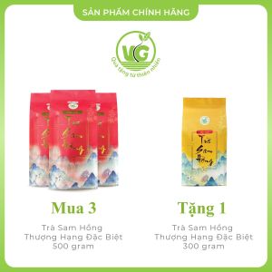 Trà Sam Hồng Thượng Hạng Đông Trùng 500gr [COMBO 3+1] Ngủ Ngon Mát Gan Giảm Mỡ Máu