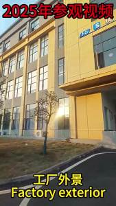 Womens Lace Mesh Single Shoes 2025 Summer New Mary Jane Shoes Breathable Grandma Shoes