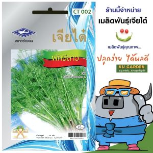 CHIATAI 🇹🇭 ผักซอง เจียไต๋ ผักชีลาว O002 ประมาณ 3300 เมล็ด ผักชี เมล็ดพันธุ์ผัก เมล็ดผัก เมล็ดพืช ผักสวนครัว