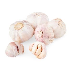 White Whole Garlic