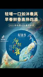 XINYIHAO YUNNAN CHINA PUER TEA PU ERH TEA RAW TEA CAKE 2021 YEAR PUER TEA 357G 新益号云南普洱茶2021新茶春茶布朗孔雀云南古树普洱茶生茶七子饼357克