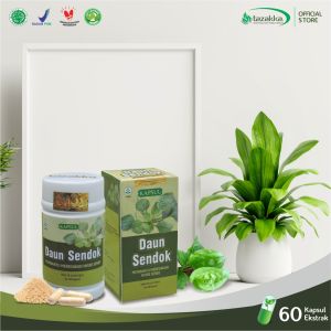 KapsulDaun Sendok Ekstrak Obat Nyeri Sendi Asam Urat Alami Herba