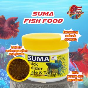 🇸🇬 GOBETTA SUMA Fish Food Pellet Thick Builder Scale and Tail | Fish Pellet for Scale & Tail Enhancer Betta Fish Suma Thai BETTA SHOP BETTA STORE FISH SHOP BETTA OUTLET BETTA RETAIL BETTA RETAIL SHOP BETTA SINGAPORE ONLINE SHOP BETTA MARKET BETTA FISH