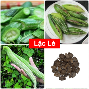 Hạt Giống Lặc Lè F1 Dễ Trồng Nảy Mầm Mạnh – Trái Sai Ăn Ngon Tươi Mát Thích Hợp Mọi Vườn Nhà