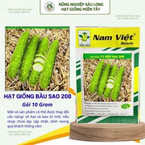 Hạt Giống F1 Bầu Sao 208 Nam Việt – Trái Dài 30cm Nhiều Bóng Sao – Gói 10g