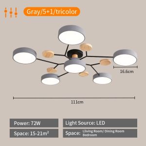 【RNG-Lighting】  Chandelier Modern Design Bedroom Light Led Center Light Living Room Light Tricolor  Ceiling Lights