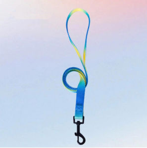 PE-1207 ปลอกคอสัตว์เลี้ยงสุนัข หมา แมว ไล่โทนสี (มีสายจูงขายแยก) กันน้ํา ระบายอากาศ ราคาถูก พร้อมส่ง🦮🐱