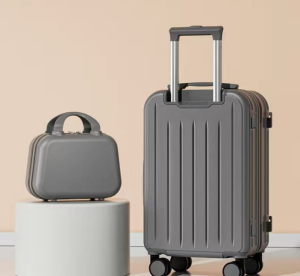 2pcs  trolley Luggage Travel suitcase travel bag password carry bag
