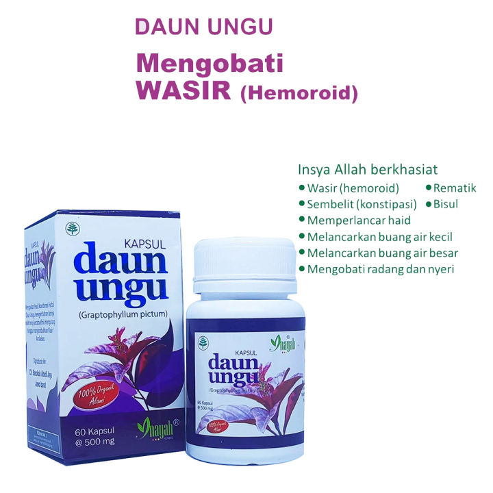 Daun Ungu Herbal Ambein Wasir 60 Kapsul Lazada Indonesia