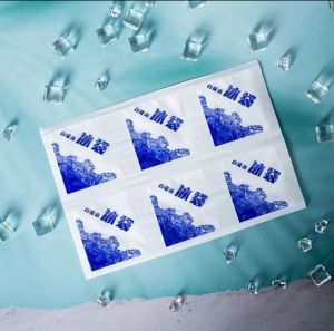 Ready stock in MSIA!!!(6 PCS)Reusable Ice Bag Pack Water Injection Cooler Frozen Food Storage Air Batu Sejuk Beg Ais 冰袋