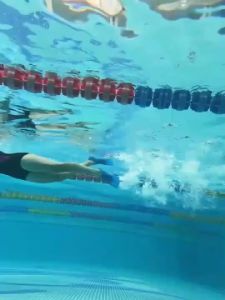 Vây bơi tự do cho nam nữ người lớn trẻ em vây bơi bướm thiết bị lặn vây lặn silicone ngắn