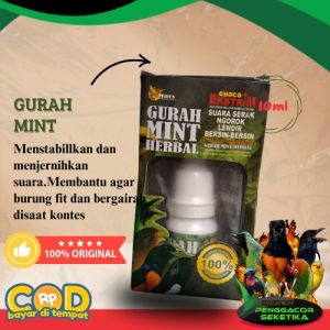 Gurah Mint 10ml Obat Serak pada burung Penggacor seketika volume dahsyat Vitamin Suplemen