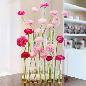 FUTUI Modern Creative Glass Flower Arrangement Home Decor Tube Flower Bottle  Ornament Vase Hydroponic Container