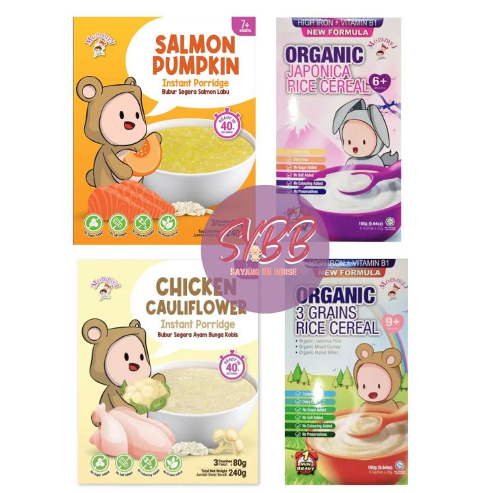 6month baby food MommyJ Baby Food Porridge Salmon Pumpkin