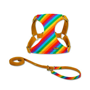 PuppyTie Multi-Function Dog Harness And Leash Set Soft Breathable Puppy Harness Adjustable Double Hook Lead For Dogs Walking Accessories