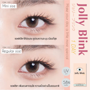 คอนแทคเลนส์รายวัน Jolly Blink สี Moony Brown 6 ชิ้น
