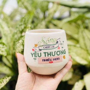 Chậu Trồng Cây Bằng Sứ Kèm Dĩa Thích Hợp Trồng Cây Sen Đá Xương Rồng Cây Cảnh Mini Để Bàn In Chữ Nội Dung Theo Yêu Cầu