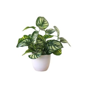 PBP09 Pot Bunga Plastik / Tanaman Keladi Palsu / Bunga Hias Dekorasi Rumah Import Murah Jakarta