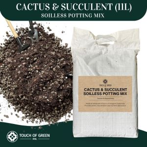 Cactus Succulent Potting Mix 11 Liters (cactus succulents yucca tree)