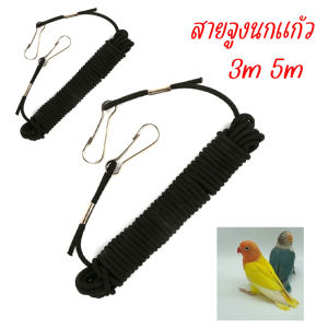 สายจูงนกแก้ว 3m 5m สายจูงนกฟอพัส สายจูงนกซันคอ สายจูงนกเล็ก สายจูงนกหงหยก สายจูงนกฝึกบิน สายคล้องขานก