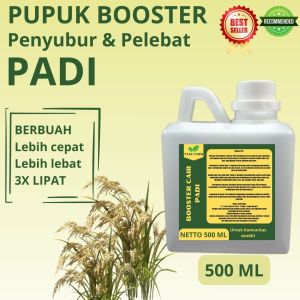 Pupuk Pelebat Padi / Pupuk Buah Padi / Pupuk Booster Padi / Pupuk Padi