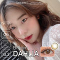 Kính áp tròng cận 6 tháng LENS XOẮN lens nâu hàn quốc phủ bóng OLOLA DAHLIA BROWN. 