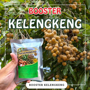 Booster Tanaman Kelengkeng / Pupuk Booster Hayati Khusus Tanaman Kelengkeng