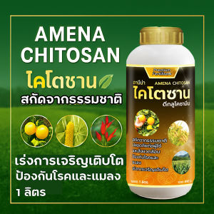 อามีน่า ไคโตซาน สายสั้น พืชต้านทานโรคและแมลงศัตรูพืช เร่งการเจริญเติบโตของพืช ขนาด1ลิตร