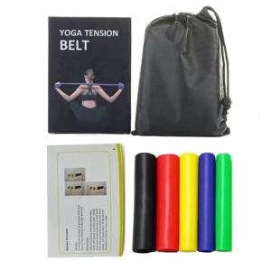 5 Pcs Fitness Bands Set Resistance Bands Exercise Bands Elastic Workout Bands for Gym Home and Outdoor Workouts