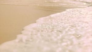 Summer Fridays Summer Silk ing Body Lotion - Sữa dưỡng thể dưỡng ẩm với Hyaluronic Acid bơ hạt mỡ dầu hạt nho và bơ ca cao - Kem dưỡng ẩm không nhờn rít dành cho da khô (6.7 Fl Oz)