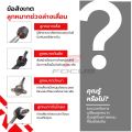 TRW ลูกหมากปีกนกล่าง Toyota Vigo ปี02-12 Innova Revo ปี12-20 Fortuner ปี03-20 / ลูกหมากปีกนก วีโก้ รีโว 43330-09295 / JBJ7539. 