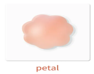 1pair Women Reusable Silicone Breast Nipple Cover Nude Self Adhesive Patch Pasties Dress Swimwear