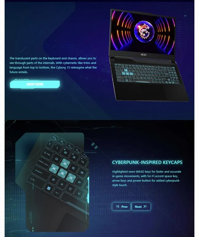 MSI Cyborg 15 (A13VF-1256PH) Gaming Laptop Intel i5-13420H (8