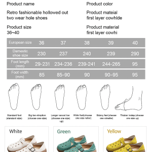 Classic Chinese Medicine Masterpiece: Bian Ques Miraculous Remedies for All Seasons  Suitable for All Ages  Treats Diseases  Ancient Medical Knowledge