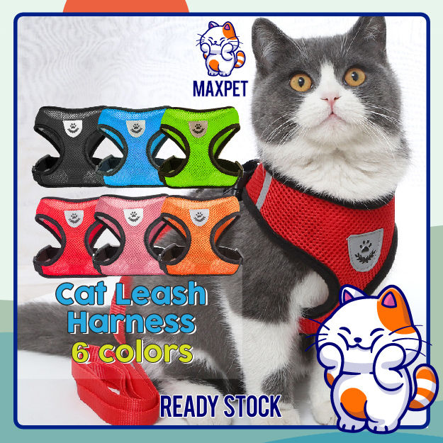 Cat best sale harness lazada