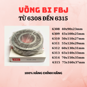 Vòng bi FBJ 6308 6309 6310 6311 6312 6313 6314 6315