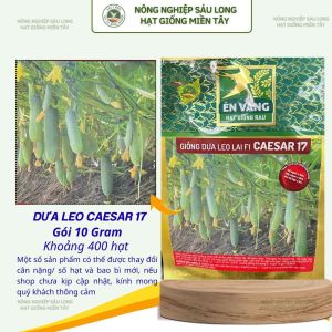 Gói 10gr [khoảng 400 hạt] - Hạt giống Dưa leo Caesar 17 Én Vàng