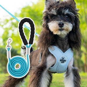 Adjustable Pet Harness Leash Set Comfortable Dog Vest Harness for Small to Medium Pets