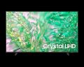 [ĐÓN CHỜ 23.5 SĂN VOUCHER 20%] Smart Tivi Samsung 4K Crystal UHD DU8000 UA55DU8000KXXV(2024)- 55 inch- Hàng Chính Hãng - Phân Phối Bởi Lazada - MIỄN PHÍ VẬN CHUYỂN TOÀN QUỐC. 