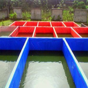 Kolam Terpal  Kolam Kotak Impor Korea A12  300x600x100  / 3x6x1 Budidadya Ikan Lele  Nila  Gurame.Bisa COD