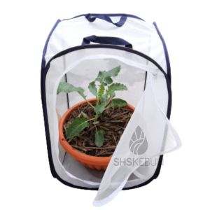 Pop-up Garden Net for Pest Control from Snails Insects Caterpillars Animals Jaring Kebun SHS KEBUN