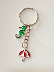Key and Bag chain with Metal Enamel Finish