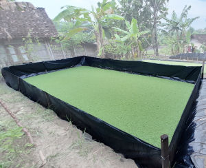 Plastik UV Hitam 100 micron 4 x 5 meter Untuk Kolam/Tambak