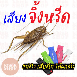 เสียงต่อจิ้งหรีด เมมเสียงจิ้งหรีด แฟลชไดร์ฟเสียงต่อจิ้งหรีด มีเก็บเงินปลายทาง