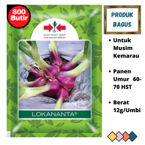 Bibit Benih Bawang merah biji TSS LOKANANTA 800butir dari Cap Panah Merah