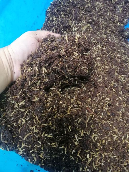 2 kilos Mixed Garden Soil, Humus Mixed healthy soil (carbonized rice ...