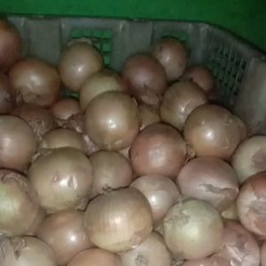 Bawang Bombay 1 Kg KIRIM INSTAN & SAMDAY