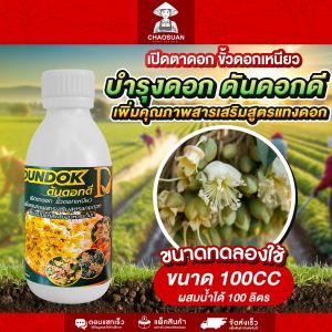 พริกสวยเต็มต้น แตกดอกเต็มที่ ผลผลิตเต็มต้น ติดดอกเร็วกว่า เซ็ตสวนเล็ก