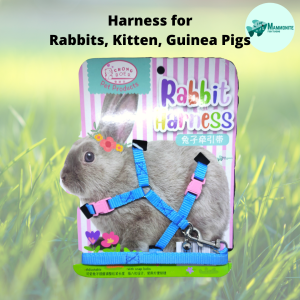 Rabbit Leash and Harness Soft Polyester For Small Pet Rabbit Kitten Guinea Pig