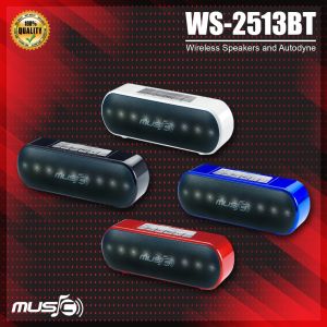 Speaker Bluetooth Wireless WSTER WS-2513BT: LED Light Stereo Kapsul Speaker